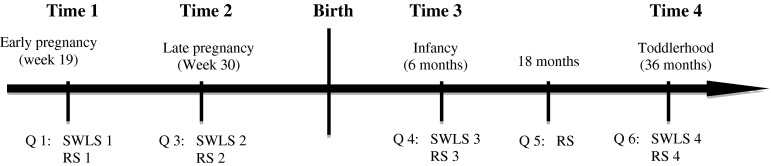 Fig. 1