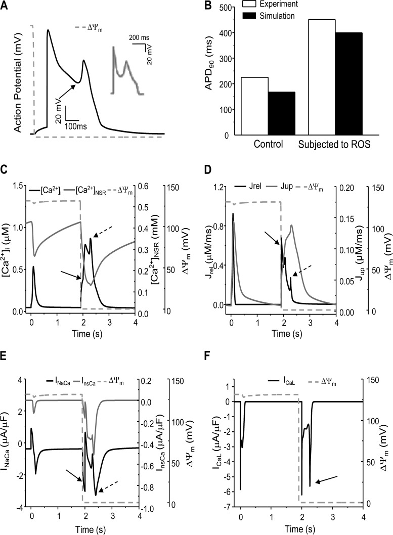 Fig. 2.