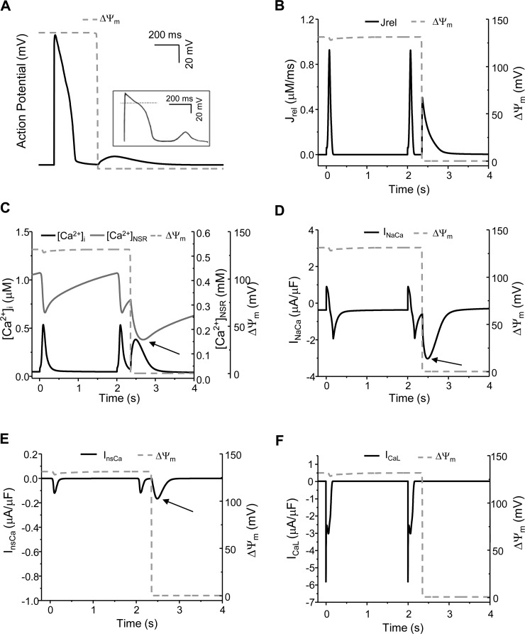 Fig. 3.