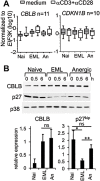 Fig 8