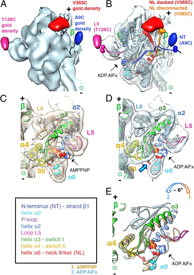 Fig. 1.