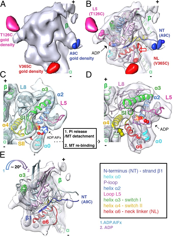 Fig. 2.