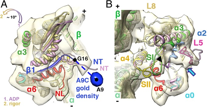 Fig. 3.