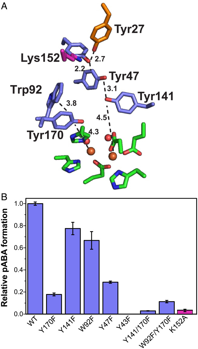 Fig. 6.