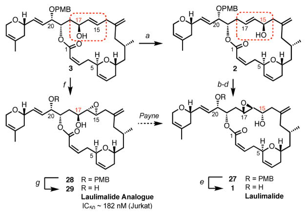 Scheme 7