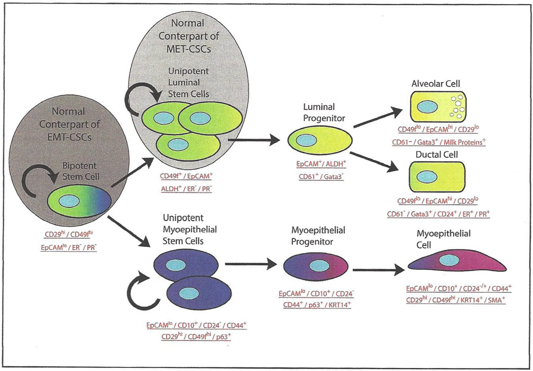 Fig. (2)