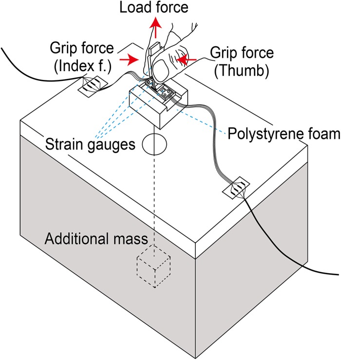 Fig 1