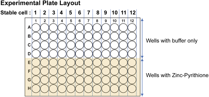 Figure 8