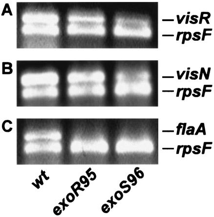 FIG. 5.