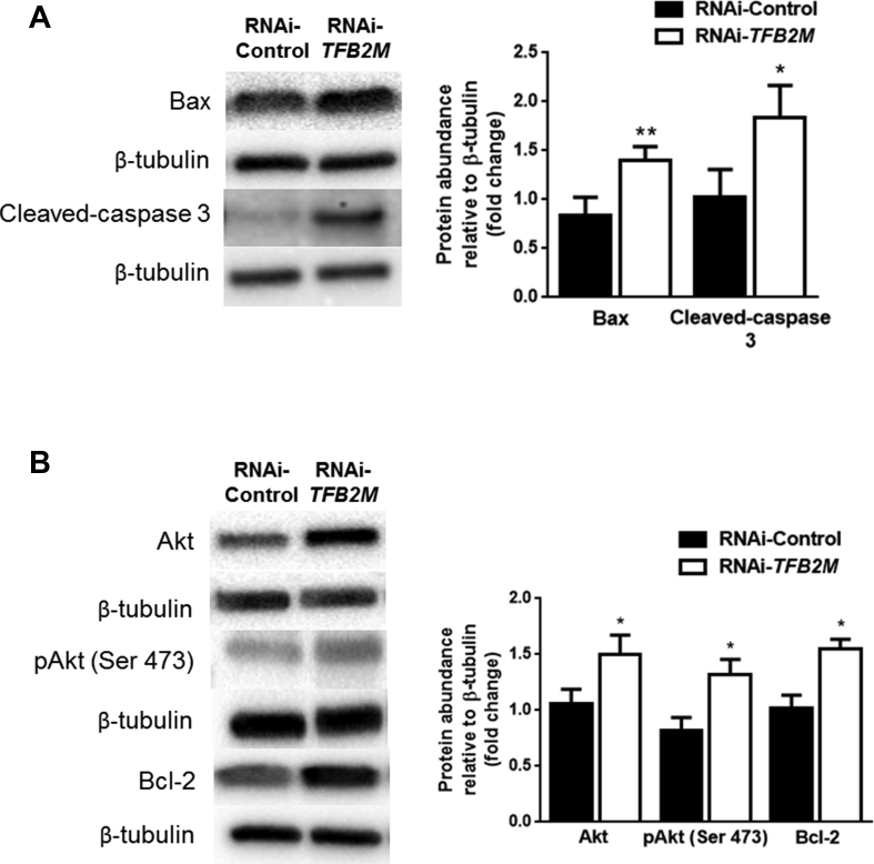 Figure 7