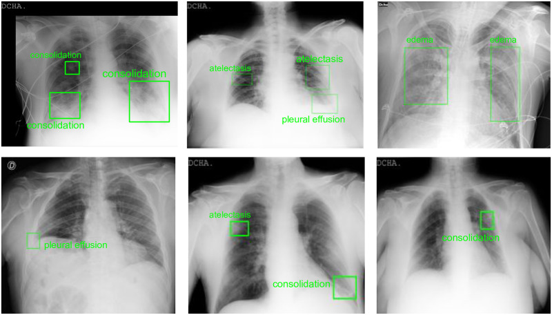 Fig 3