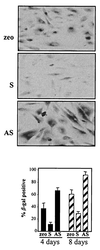 FIG. 10