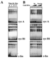 FIG. 6