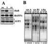 FIG. 7