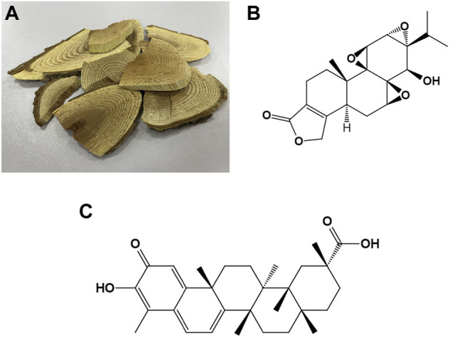 FIGURE 1