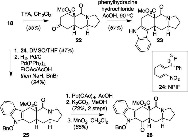 Scheme 2