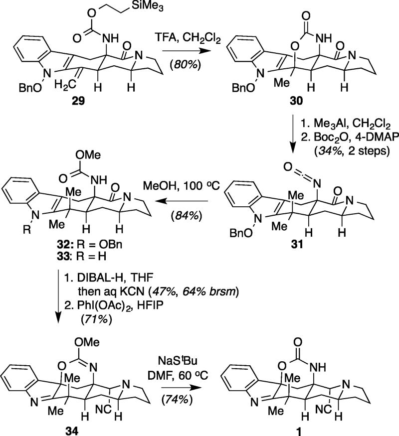 Scheme 4