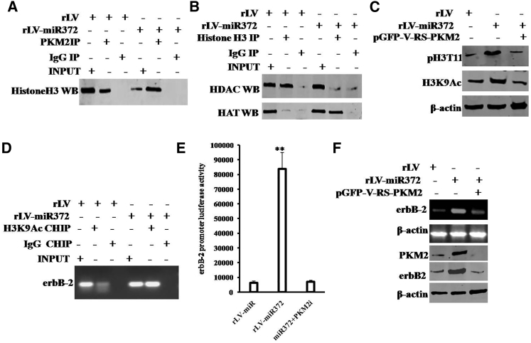 Figure 7