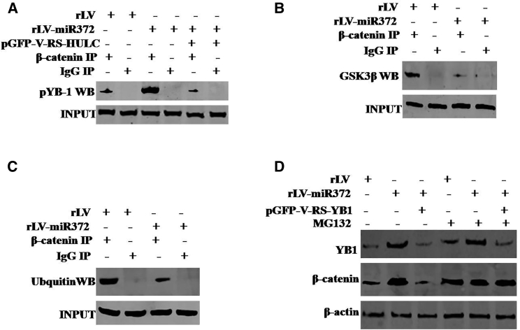 Figure 5