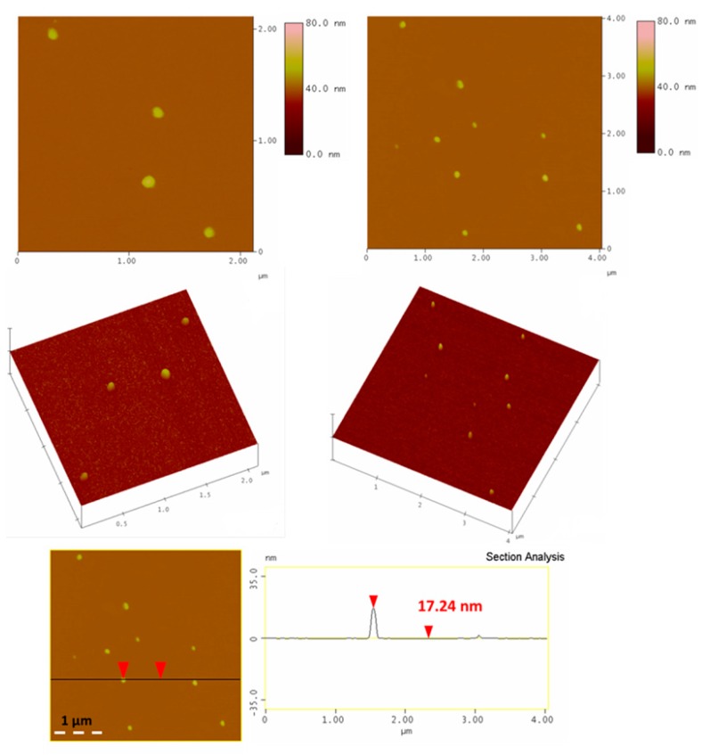 Figure 7