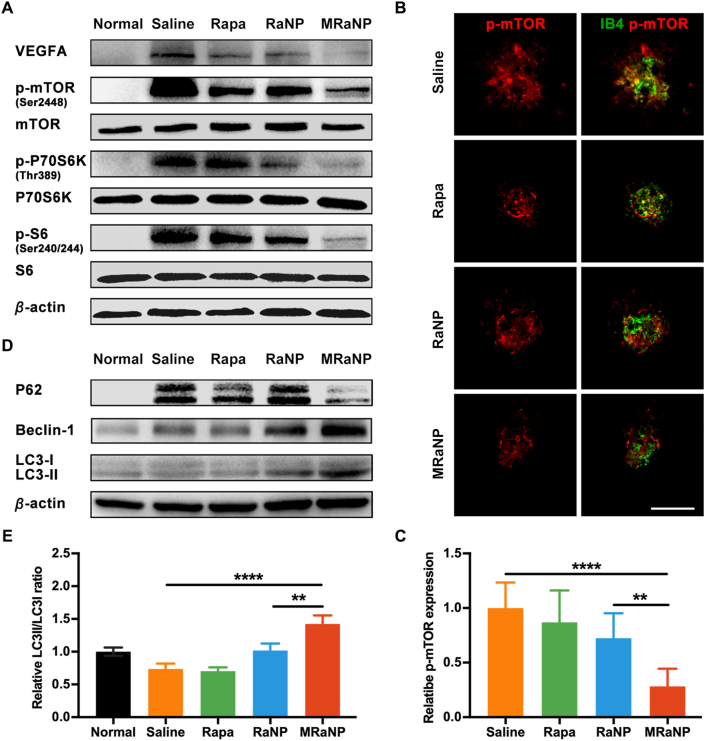 Figure 6