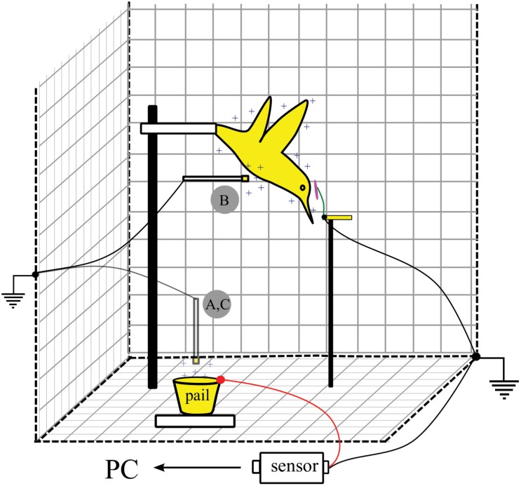 Fig 1