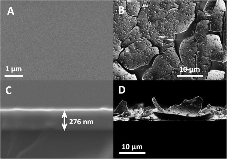 Fig. 3