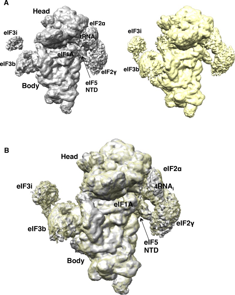 Figure 1—figure supplement 6.