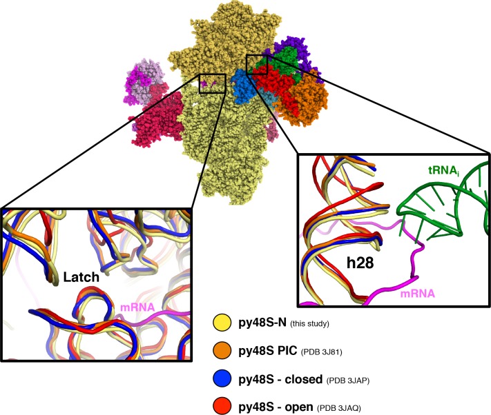 Figure 1—figure supplement 5.