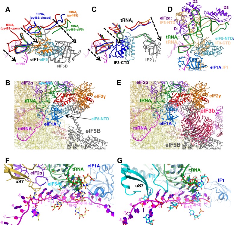 Figure 2—figure supplement 3.