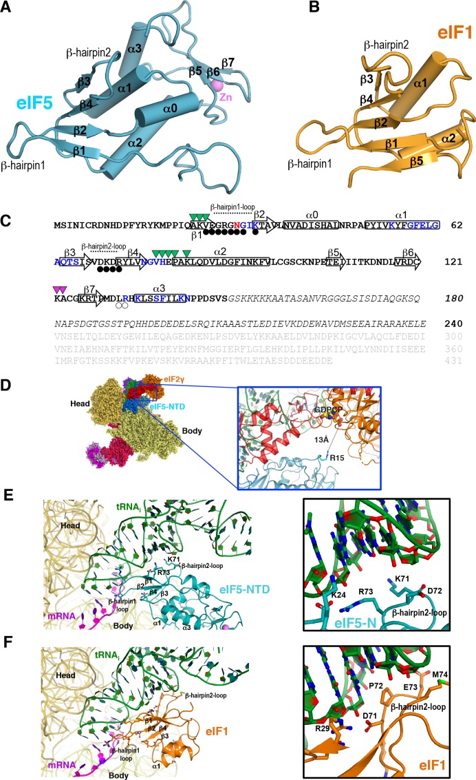 Figure 2—figure supplement 1.