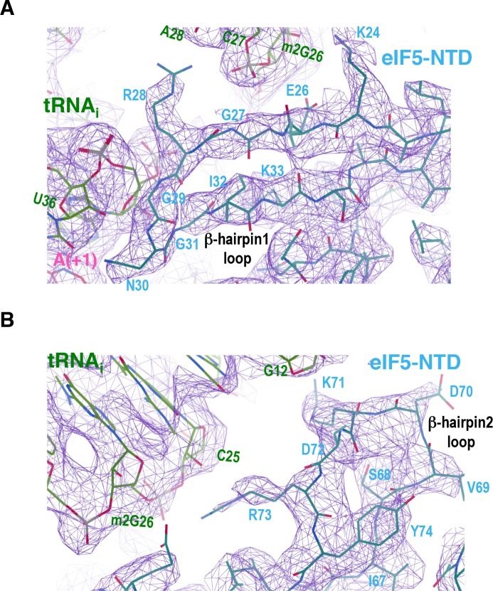 Figure 2—figure supplement 2.