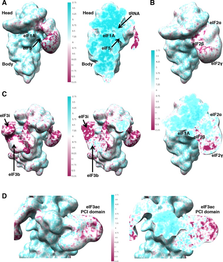 Figure 1—figure supplement 4.