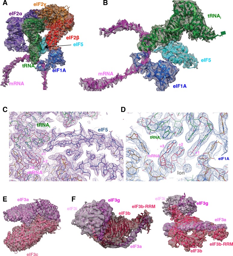 Figure 1—figure supplement 3.