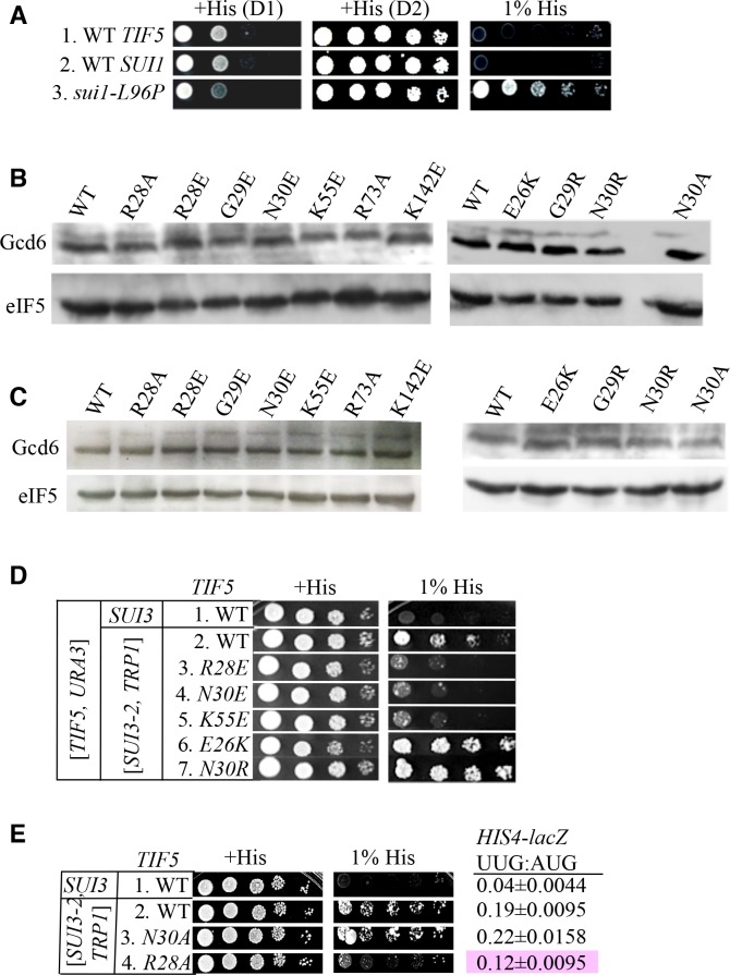 Figure 3—figure supplement 2.