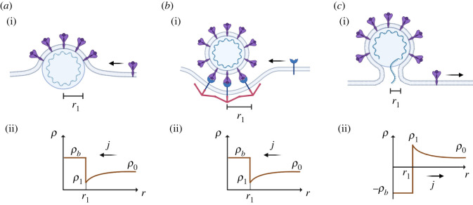 Figure 9. 