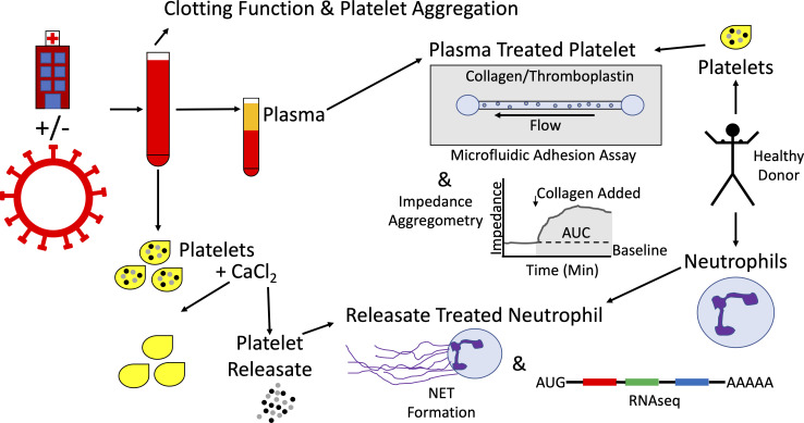 Figure 1