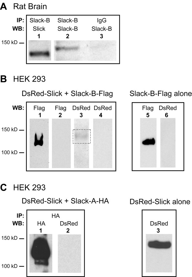 Figure 11.