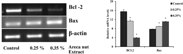 Fig. 2a