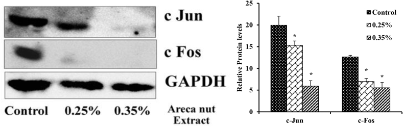 Fig. 3b