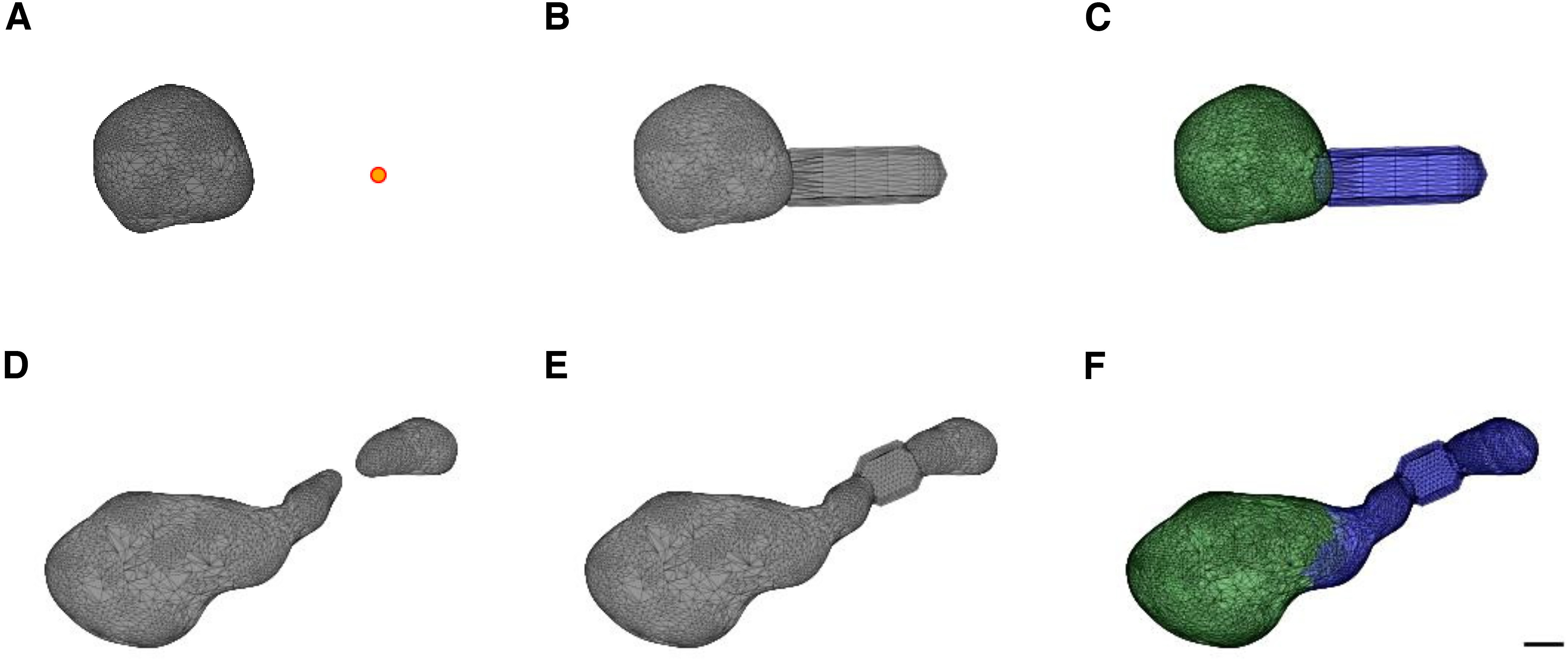 Figure 4.