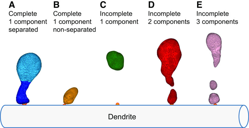 Figure 3.