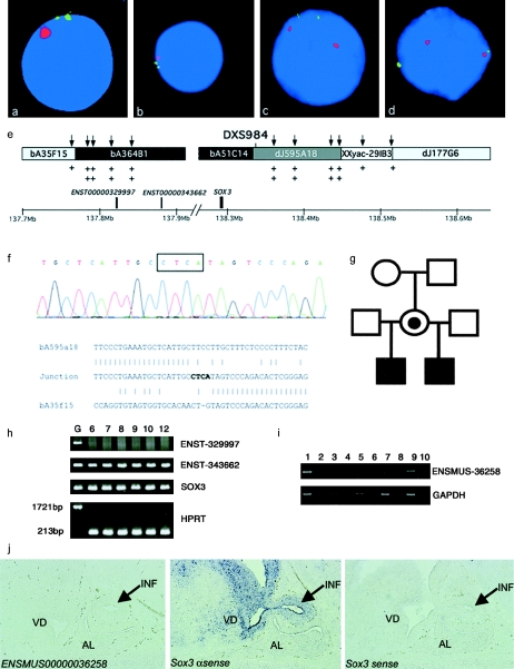 Figure  2