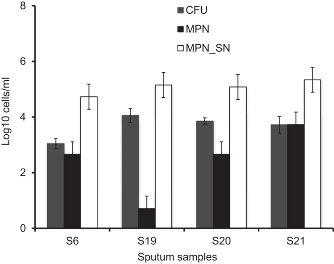 FIG 2