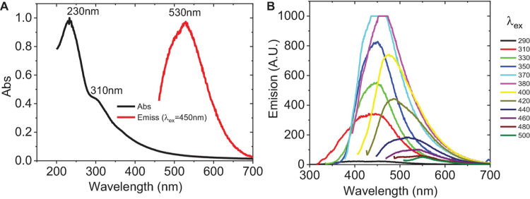 FIGURE 4