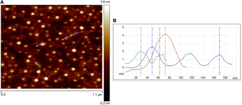 FIGURE 1