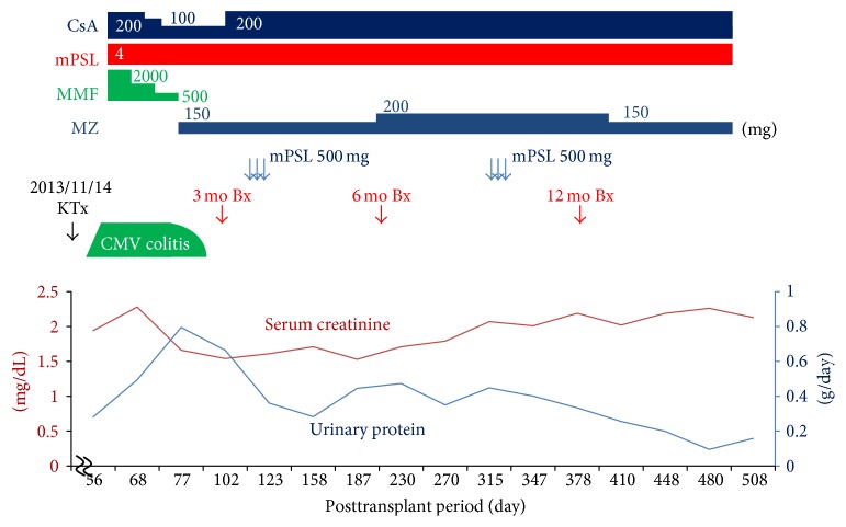 Figure 1