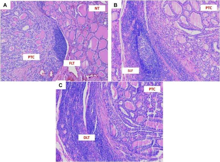 Fig. 1