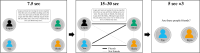 Network Memory task.