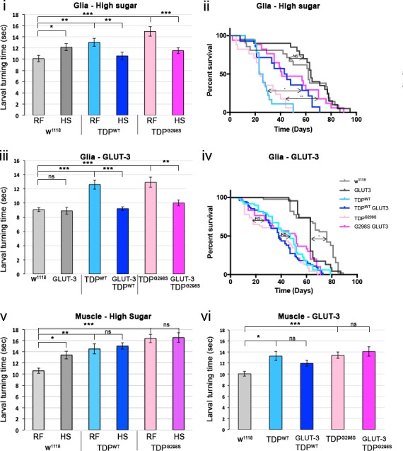 Figure 4—figure supplement 2.